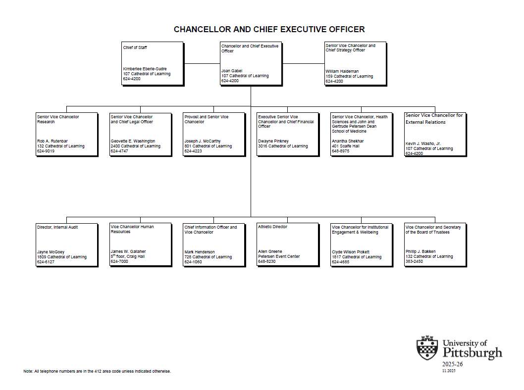 Visual flowchart version of org chart; text available in outline below.