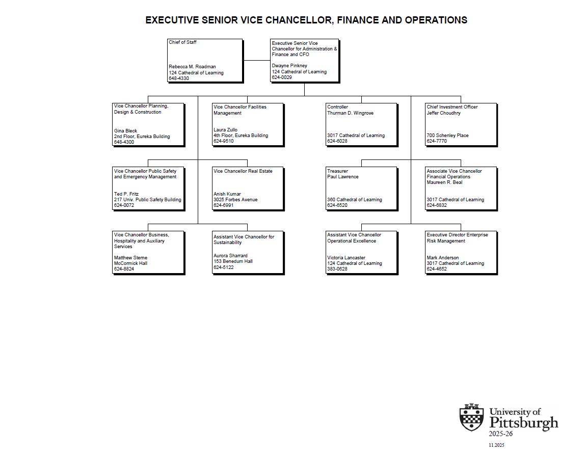 Visual flowchart version of org chart; text available in ouline below. 