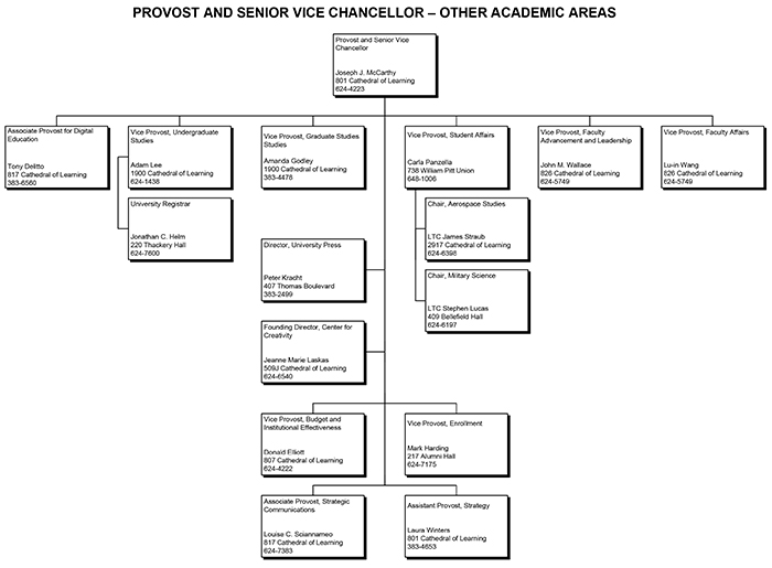 Provost and Senior Vice Chancellor: Other Academic Areas organizational flowchart; text included below.