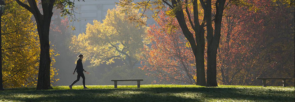 misty Fall morning on Pitt campus.