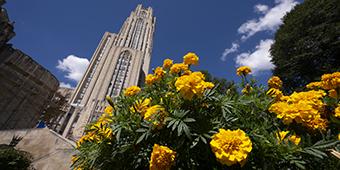 yellow-orange marigolds cluster with Cathedral of Learning towering into sky in background.