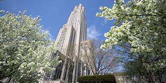 Cathedral of Learning behind white-flowering trees