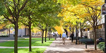 campus walkway in fall