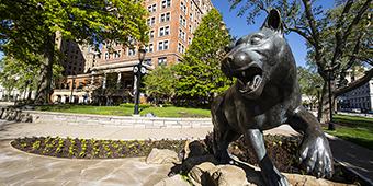 panther statue outside of william pitt union
