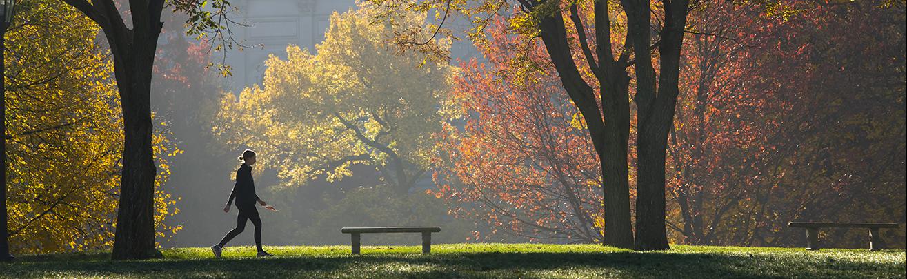 fall morning on Pitt campus